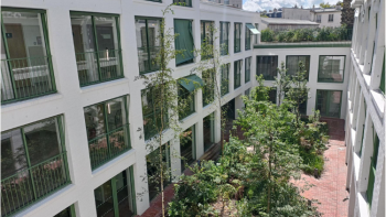 Institut du Nerf Optique et du Glaucome - INOG