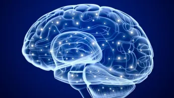 Cerveau
