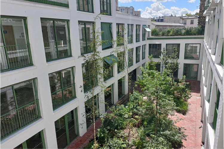 Institut du Nerf Optique et du Glaucome - INOG